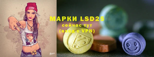 твердый Аркадак