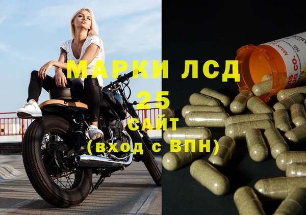 твердый Аркадак