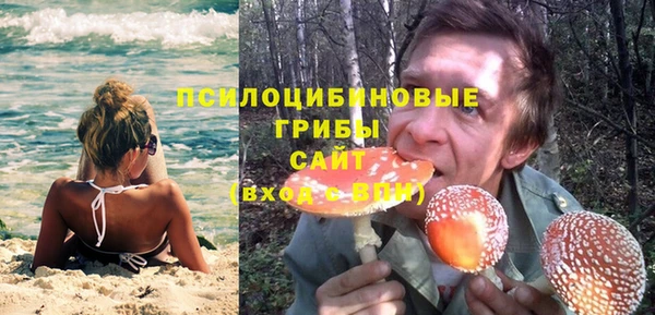 твердый Аркадак
