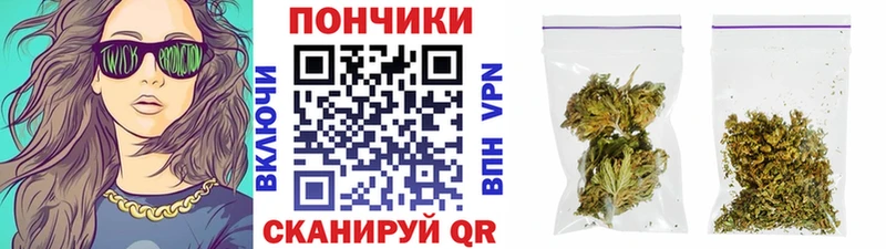 Канабис план Обоянь